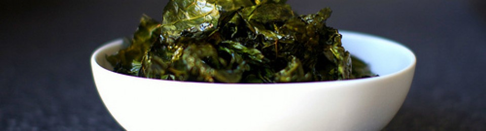 The Paleo Triathlete 